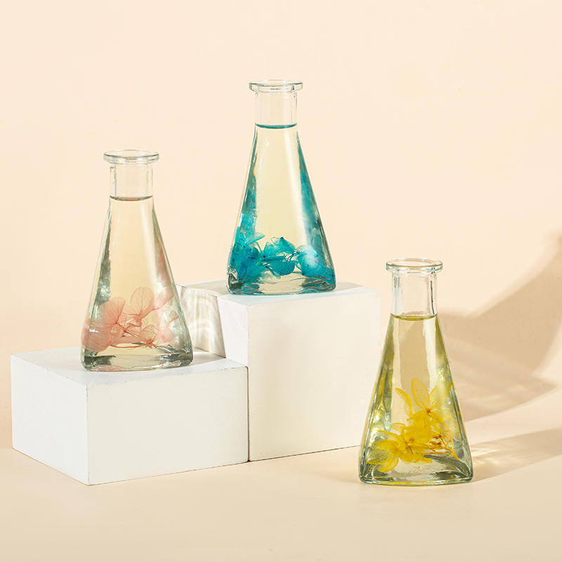 Bouteille triangulaire de fleurs séchées de vigne, diffuseur de roseaux d'aromathérapie d'intérieur sans feu