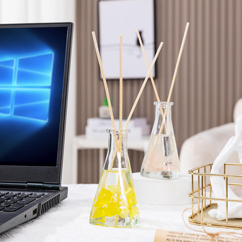 Bouteille triangulaire de fleurs séchées de vigne, diffuseur de roseaux d'aromathérapie d'intérieur sans feu
